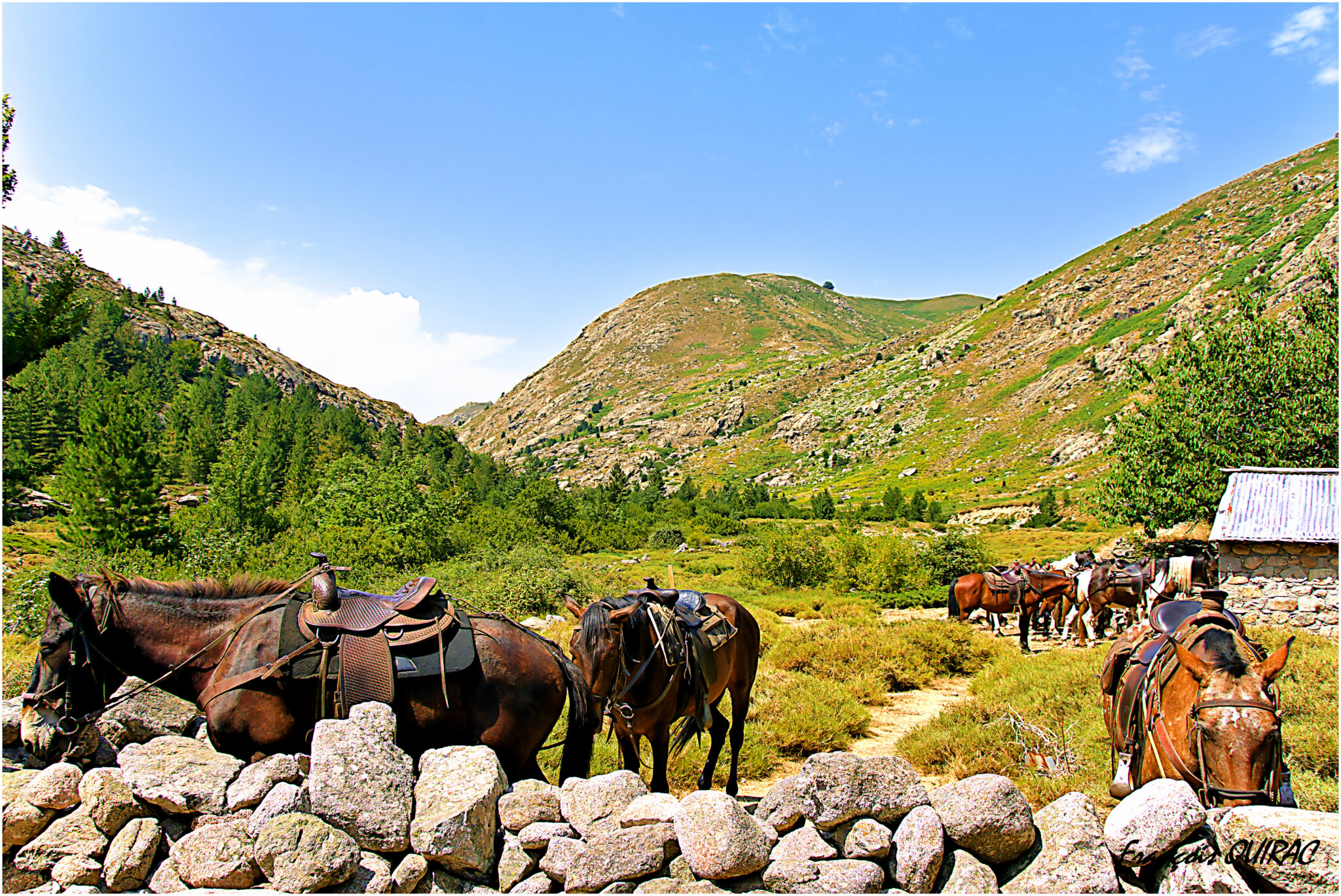 FQUIRACCommunication-site